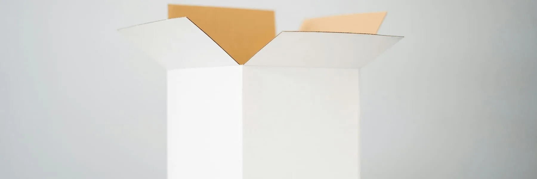 Set up Webpack For Your WordPress project